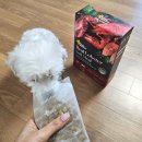 마이펫동물약국 이미지