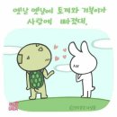 토끼와 거북이길 Daum카페