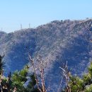 구덕공원 이미지