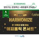 해피홀릭 콘서트 네이버블로그