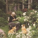 타샤의 정원 이미지