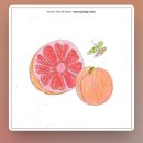 아침햇살의미소 이미지