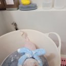 이쁘개 애견샵 이미지