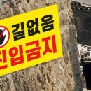 길없음