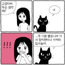 아침햇살의미소 이미지