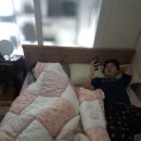 재덕이네
