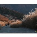 아름다운 산책 이미지