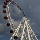 레몬비 양문점 | 9월 잔잔바리 일상