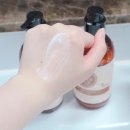 시어스팜 이미지