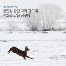 고석정주유소 이미지