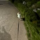 한솥 금호점 | 10월 일상 블로그