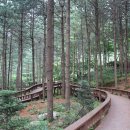 군위장곡자연휴양림 이미지