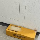 한철농장 | 5월 작약 꽃 배송 후기🌸 몽우리부터 피는 재미