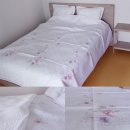 장미이불집