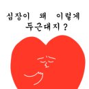 연이자카야 이미지