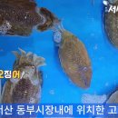 서산고향맛집브이로그 이미지