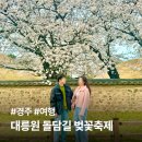 대릉원 | 경주 대릉원 돌담길 벚꽃·목련 후기 | 입장료·포토존·소요시간·축제 총정리