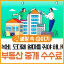 하나부동산중개 이미지