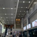 엘브릿지주 | 강남 삼성역 웨딩홀 소노펠리체 컨벤션 상담 후기 | 26년 상반기