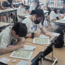 보람초등학교 이미지