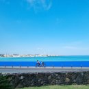 바다빛 | [제주여행] 파아란 바다빛 향연, 월정리 해수욕장(해변) 산책 후기