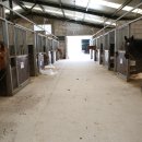 대전승마장 이미지