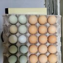 산석진농장 이미지