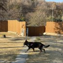 광주108 | [방도리 108] 경기광주 애견동반 펜션 다녀왔어요🐶🐾