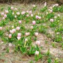 회야강변 이미지