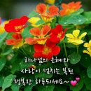 행복한하루 이미지