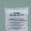 영진카서비스 | 강릉여행 필수코스가 된 호텔 분위기 강릉카페 체크이스트