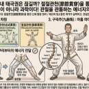 관천양은