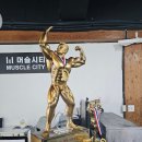 머슬시티 이미지