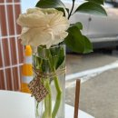 동경규동일산백마점