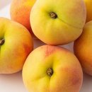 남성현역 이미지