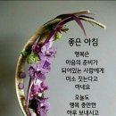 한아름그릇 이미지