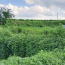 전원 부동산 중개인 사무소 이미지