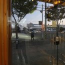 독도공인중개사사무소 이미지