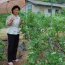 대환농장 이미지