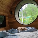 탐스럽개 이미지