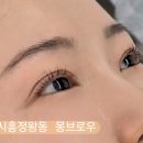 몽브로우