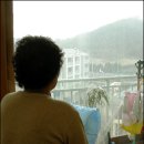 (오마이뉴스)" 도덕적 해이?그럼 우리보고 죽으란 말이냐" 이미지