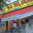 참한우 한우잡는날 이미지