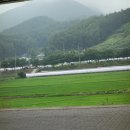 신례원의원 이미지