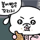 착한소곱창 이미지