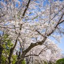 제황산모노레일 이미지