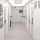 스테이쉼