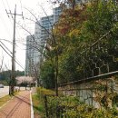 환호그린빌시장 이미지