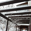 설인펜션 이미지