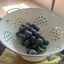 스타클라우드 이미지